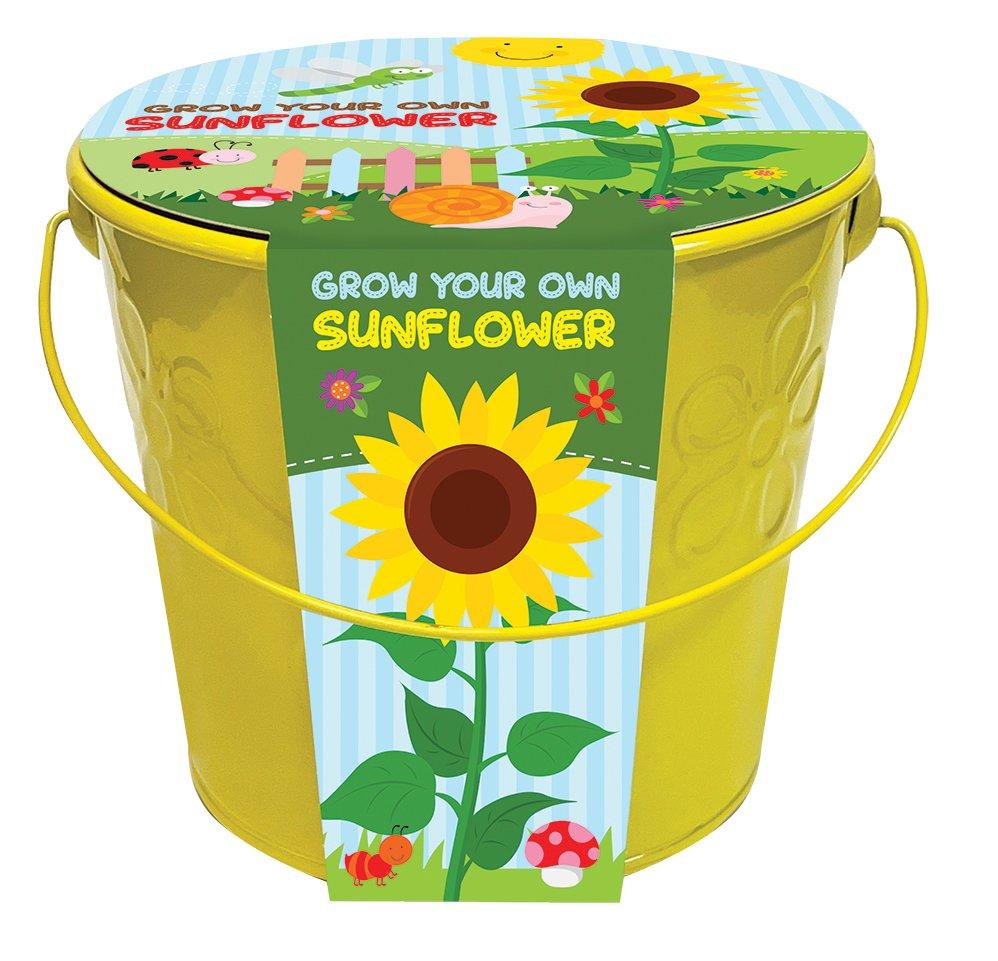 Kids Grow Your Own Sunflowers