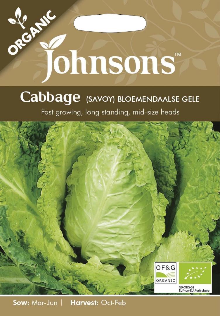 Cabbage (Savoy) Bloemendaalse Gele