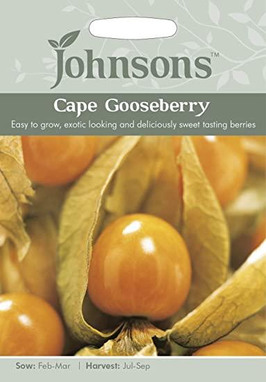 Cape Gooseberry