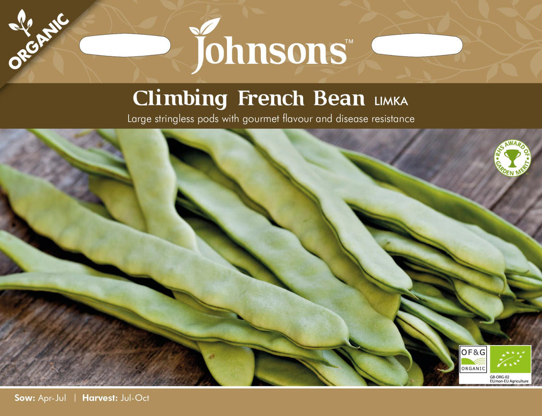 Climbing French Bean Limka (Organic)