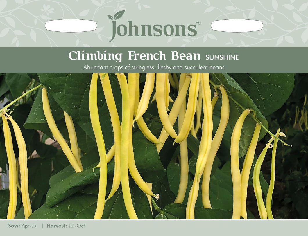 Climbing French Bean Sunshine