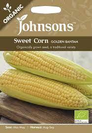 Sweet Corn Golden Bantam