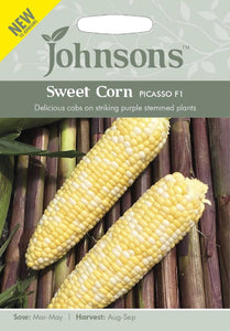 Sweet Corn Picasso F1