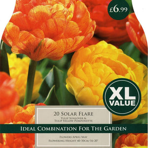 Tulip Solar Flare 10-11