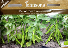 Load image into Gallery viewer, Broad Bean Express (Eleonora)
