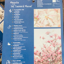 Load image into Gallery viewer, Magnolia Leonard Messel 7.5 Litre
