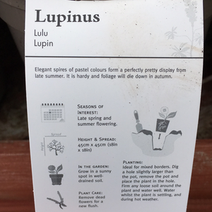 Lupin Lulu 1L