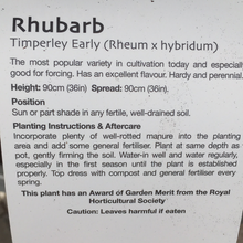 Load image into Gallery viewer, Rhubarb Timperley Early 3L
