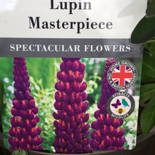 Load image into Gallery viewer, Lupin Masterpiece
