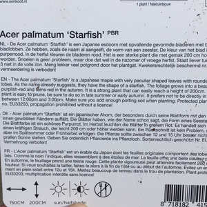 Acer Starfish